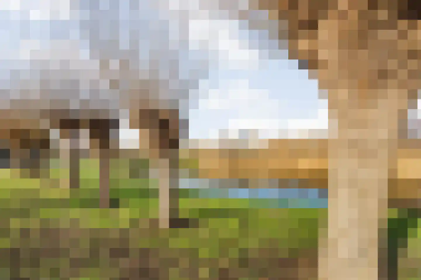 Paradijslaan 42 Breda thumbnail 68