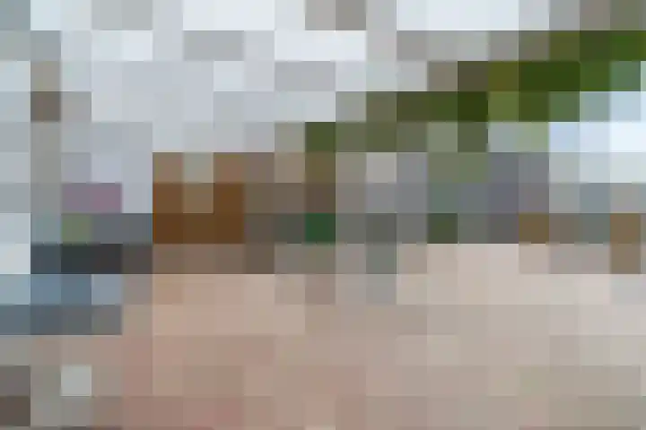 Paradijslaan 67 Breda thumbnail 36