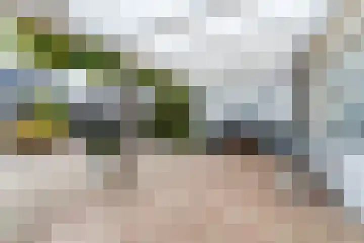 Paradijslaan 67 Breda thumbnail 37