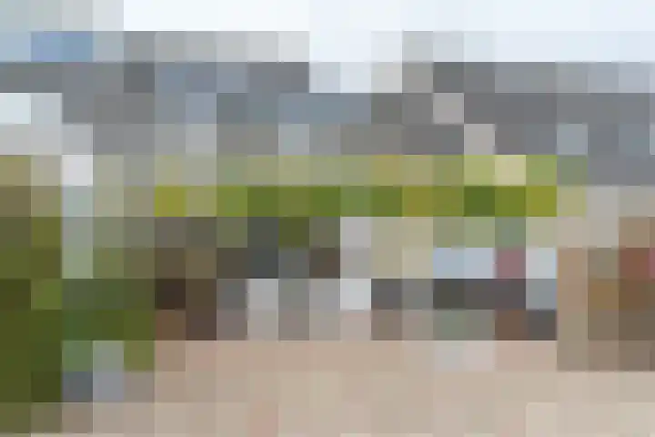 Paradijslaan 67 Breda thumbnail 39