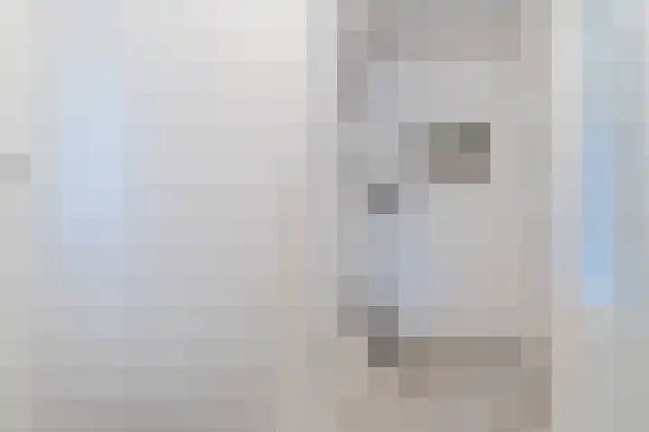 Paradijslaan 67 Breda thumbnail 6
