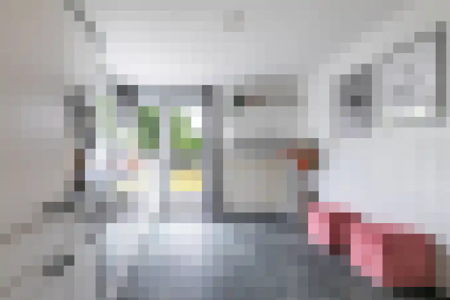 Paradijslaan 70 Breda thumbnail 20