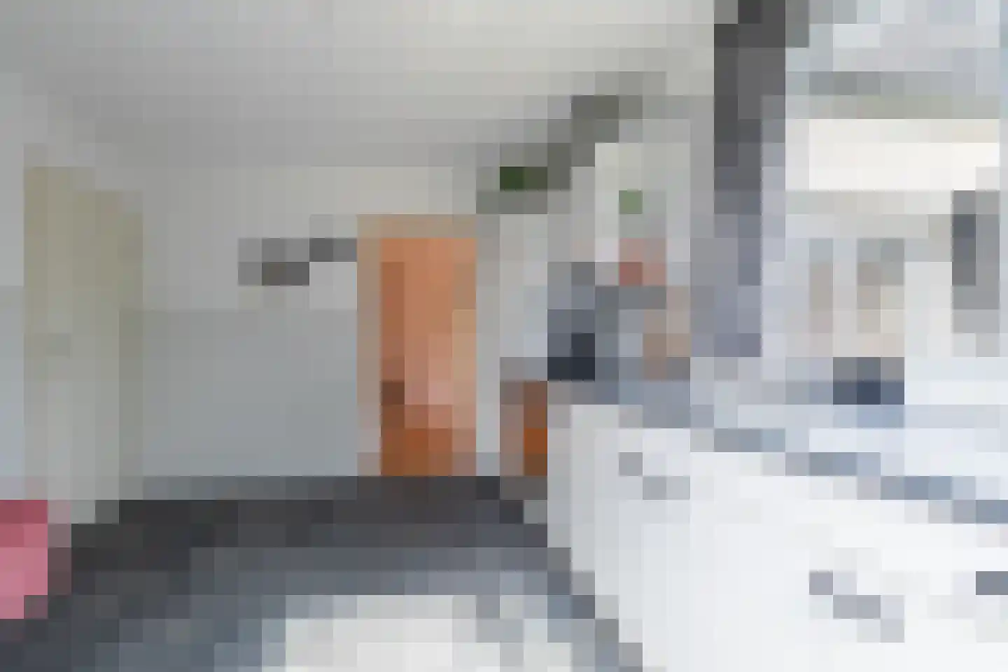 Paradijslaan 70 Breda thumbnail 27