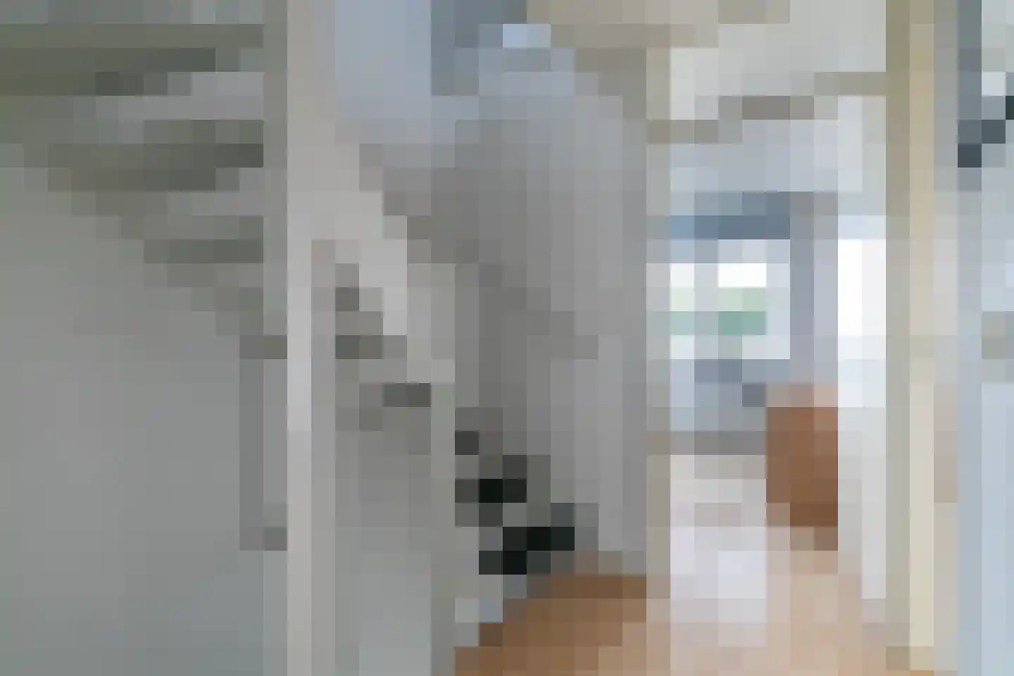Paradijslaan 70 Breda thumbnail 41