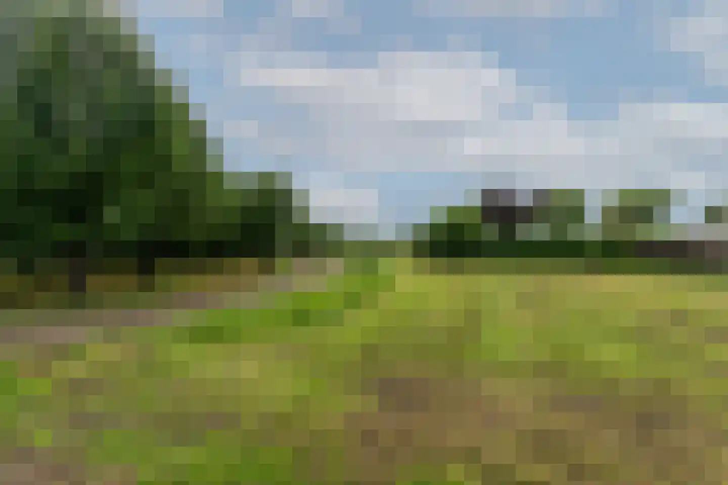 Paradijslaan 70 Breda thumbnail 61