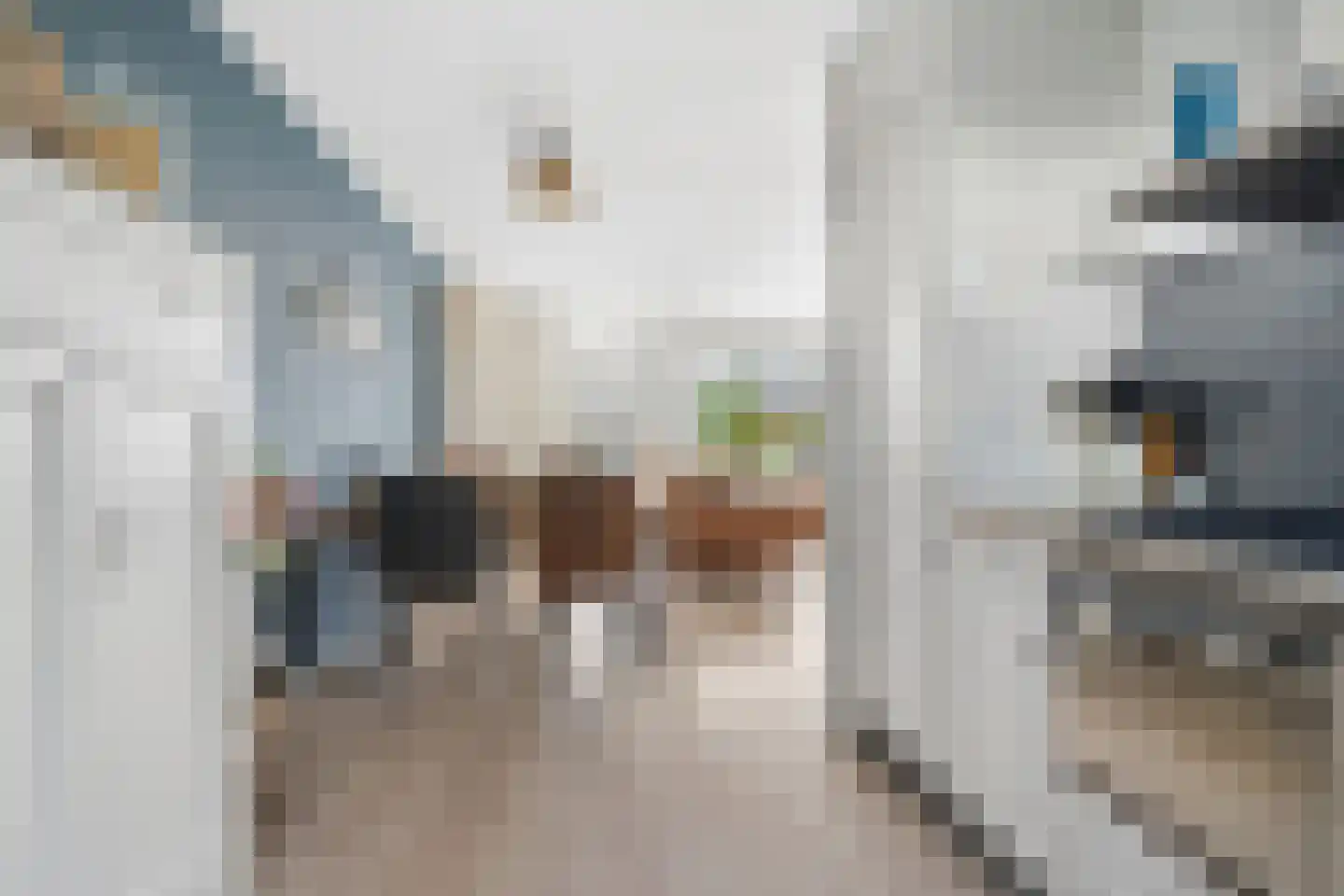 Paradijslaan 86 Breda thumbnail 17