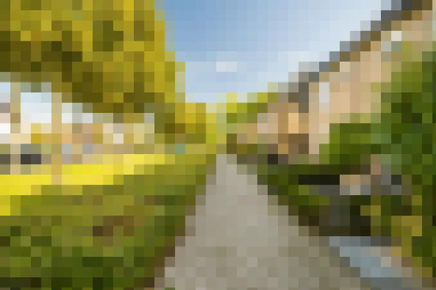 Paradijslaan 86 Breda thumbnail 47
