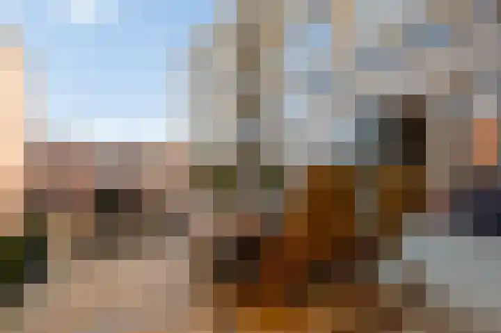 Paradijsplein 40 Amsterdam thumbnail 20