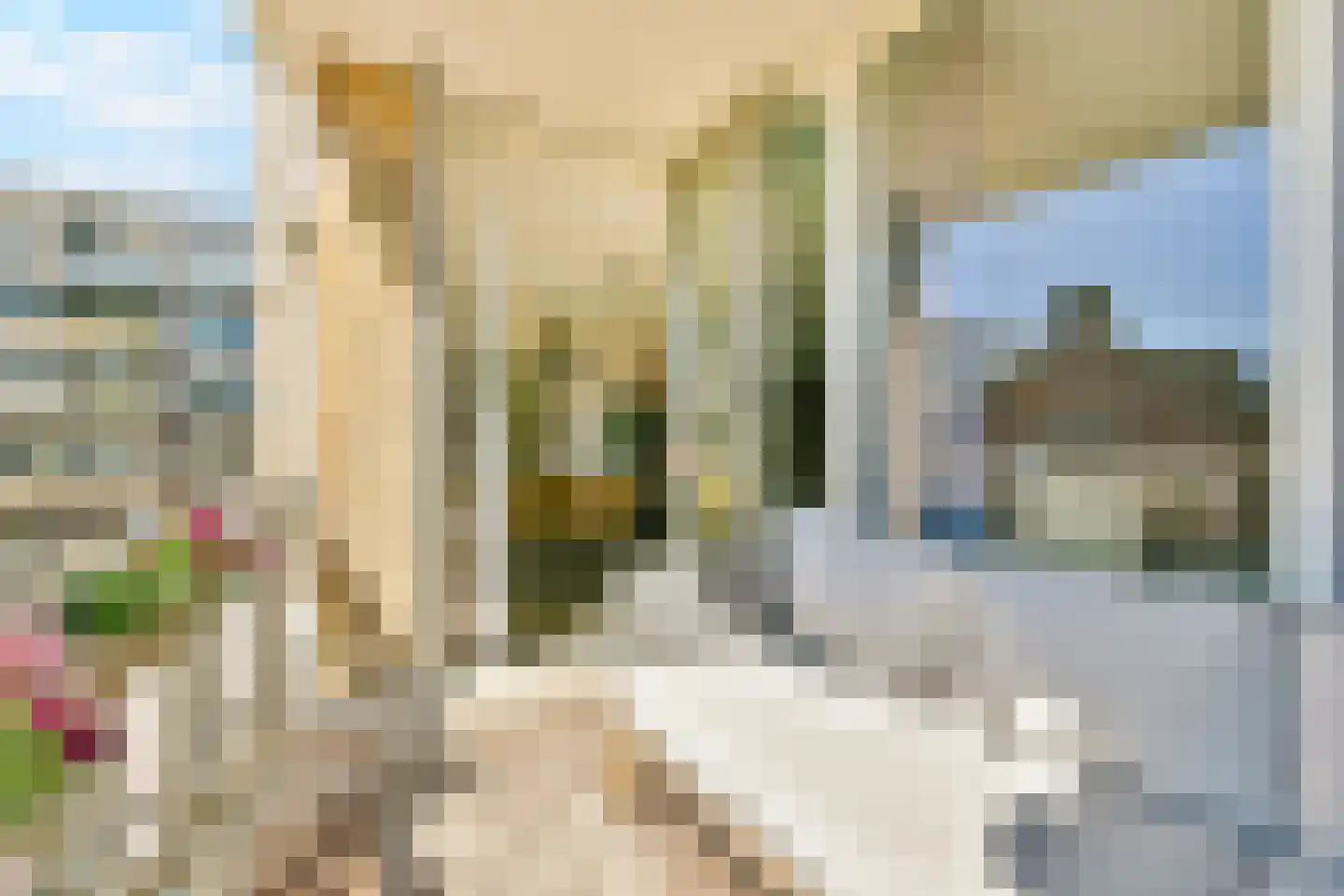 Paradijsplein 48 Amsterdam thumbnail 11