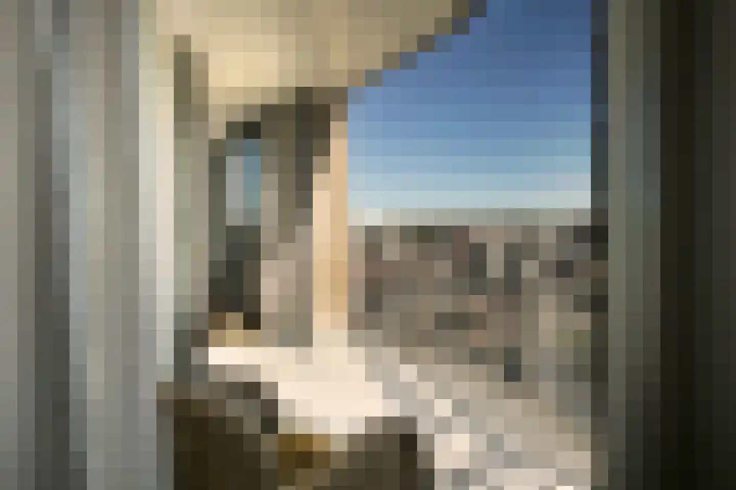 Paradijsplein 78 Amsterdam thumbnail 23