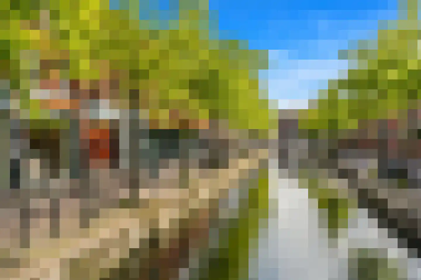 Paradijspoort 25 Delft thumbnail 18