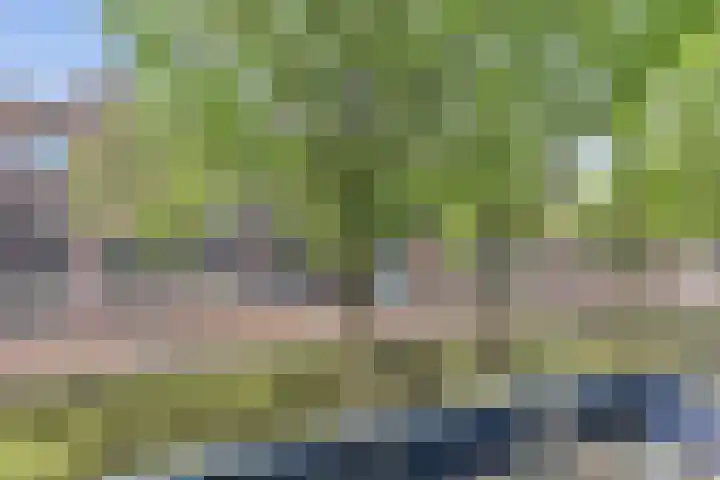 Paradijspoort 27 Delft thumbnail 19