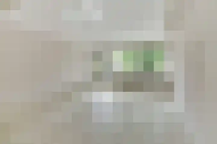 Paradijspoort 27 Delft thumbnail 8