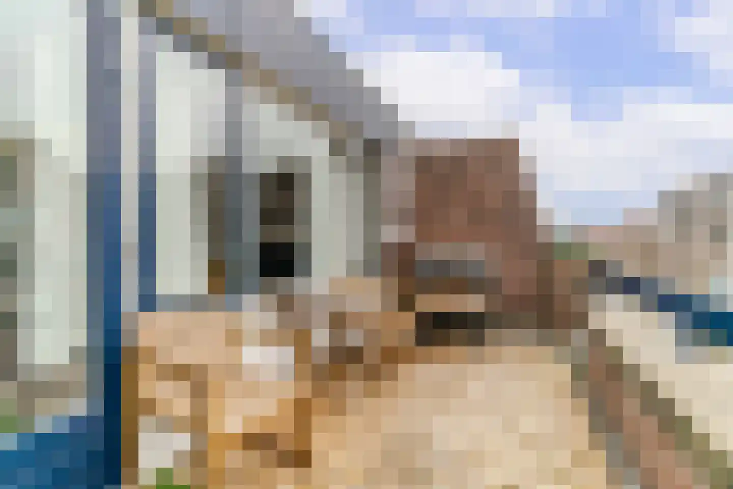 Paradijspoort 45 Delft thumbnail 21