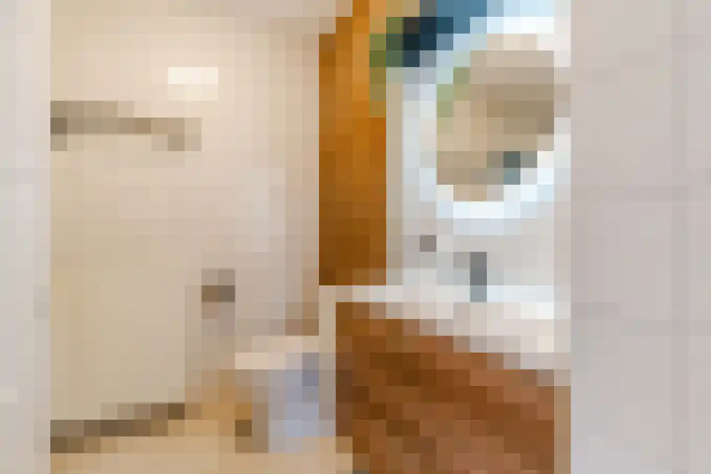 Paradijspoort 45 Delft thumbnail 4