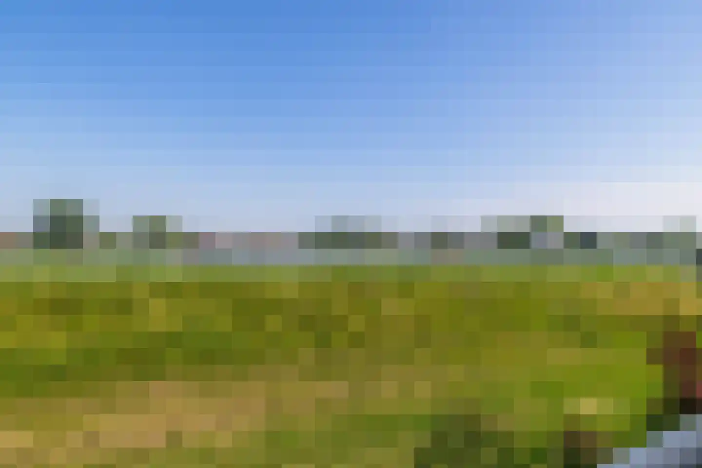 Paradijsselpark 116 Capelle aan den IJssel thumbnail 17