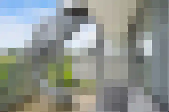 Paradijsselpark 122 Capelle aan den IJssel thumbnail 10