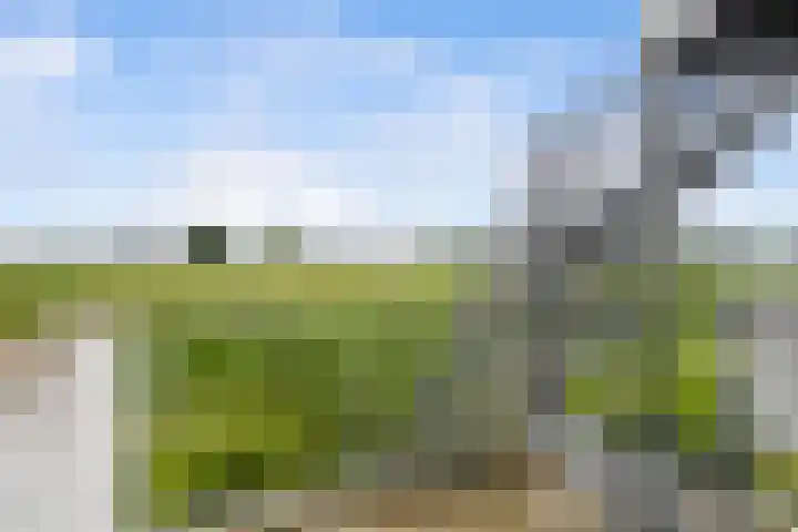 Paradijsselpark 122 Capelle aan den IJssel thumbnail 11