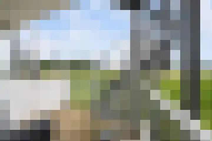 Paradijsselpark 122 Capelle aan den IJssel thumbnail 12