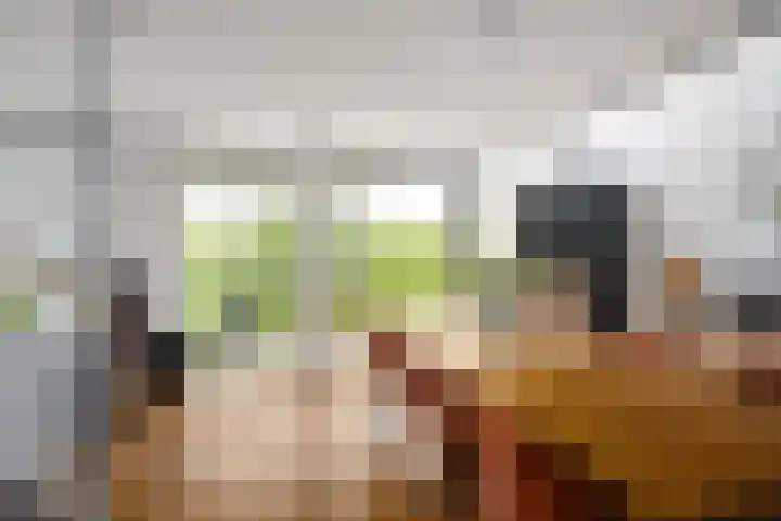 Paradijsselpark 122 Capelle aan den IJssel thumbnail 17