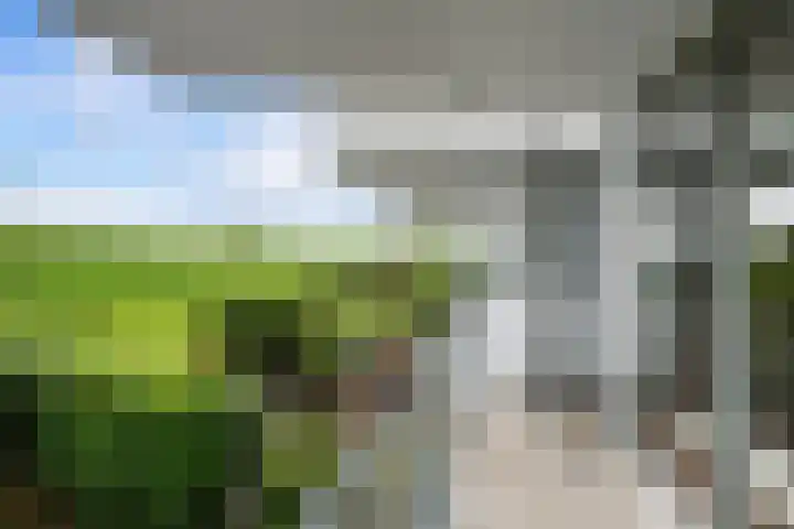 Paradijsselpark 122 Capelle aan den IJssel thumbnail 19