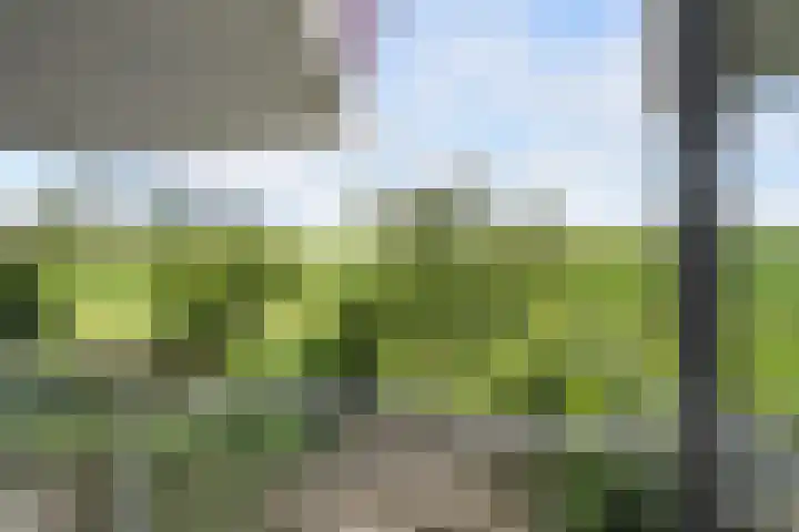 Paradijsselpark 122 Capelle aan den IJssel thumbnail 20