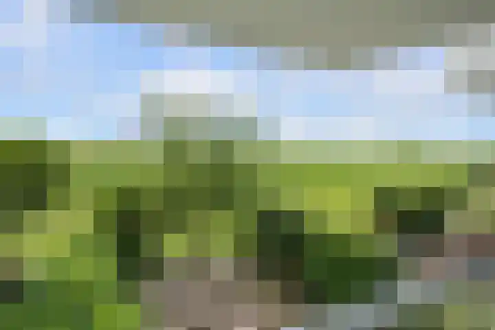 Paradijsselpark 122 Capelle aan den IJssel thumbnail 21