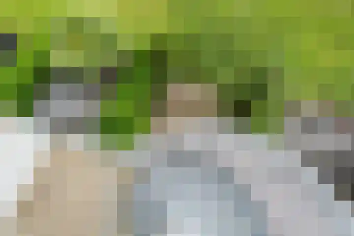 Paradijsselpark 122 Capelle aan den IJssel thumbnail 26