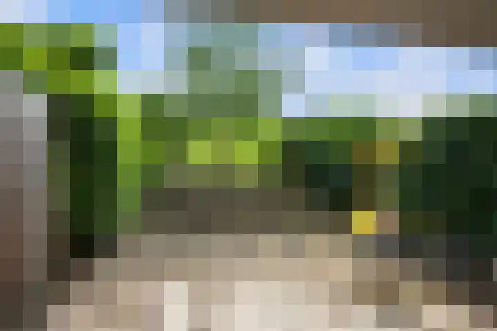 Paradijsselpark 122 Capelle aan den IJssel thumbnail 38