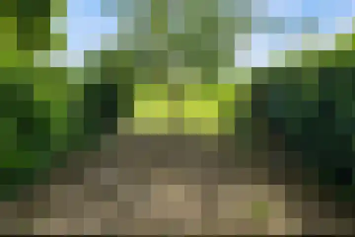 Paradijsselpark 122 Capelle aan den IJssel thumbnail 39