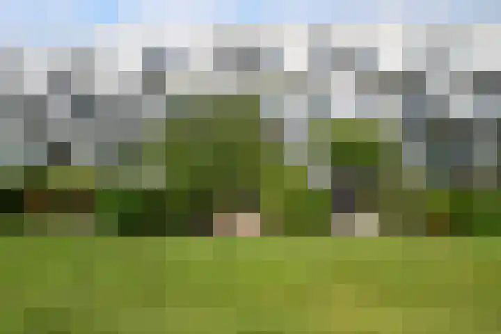 Paradijsselpark 122 Capelle aan den IJssel thumbnail 40