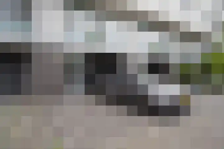 Paradijsselpark 122 Capelle aan den IJssel thumbnail 43