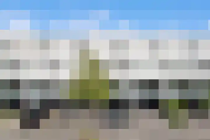 Paradijsselpark 122 Capelle aan den IJssel thumbnail 44