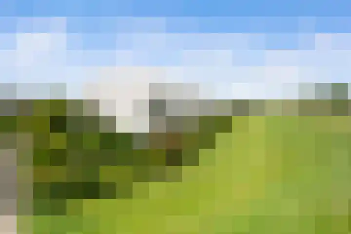 Paradijsselpark 122 Capelle aan den IJssel thumbnail 47
