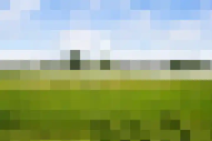 Paradijsselpark 122 Capelle aan den IJssel thumbnail 48