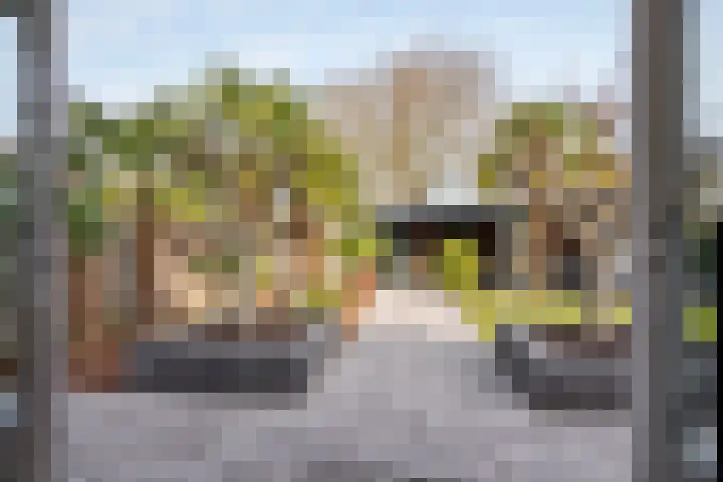 Paradijsselpark 159 Capelle aan den IJssel thumbnail 44