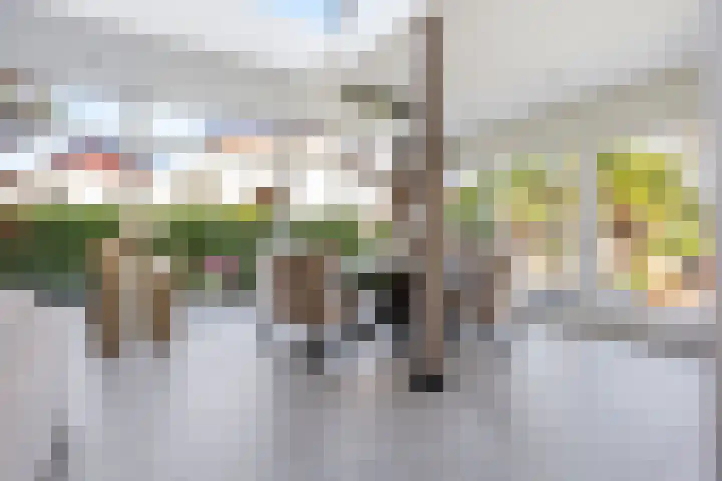 Paradijsselpark 159 Capelle aan den IJssel thumbnail 9