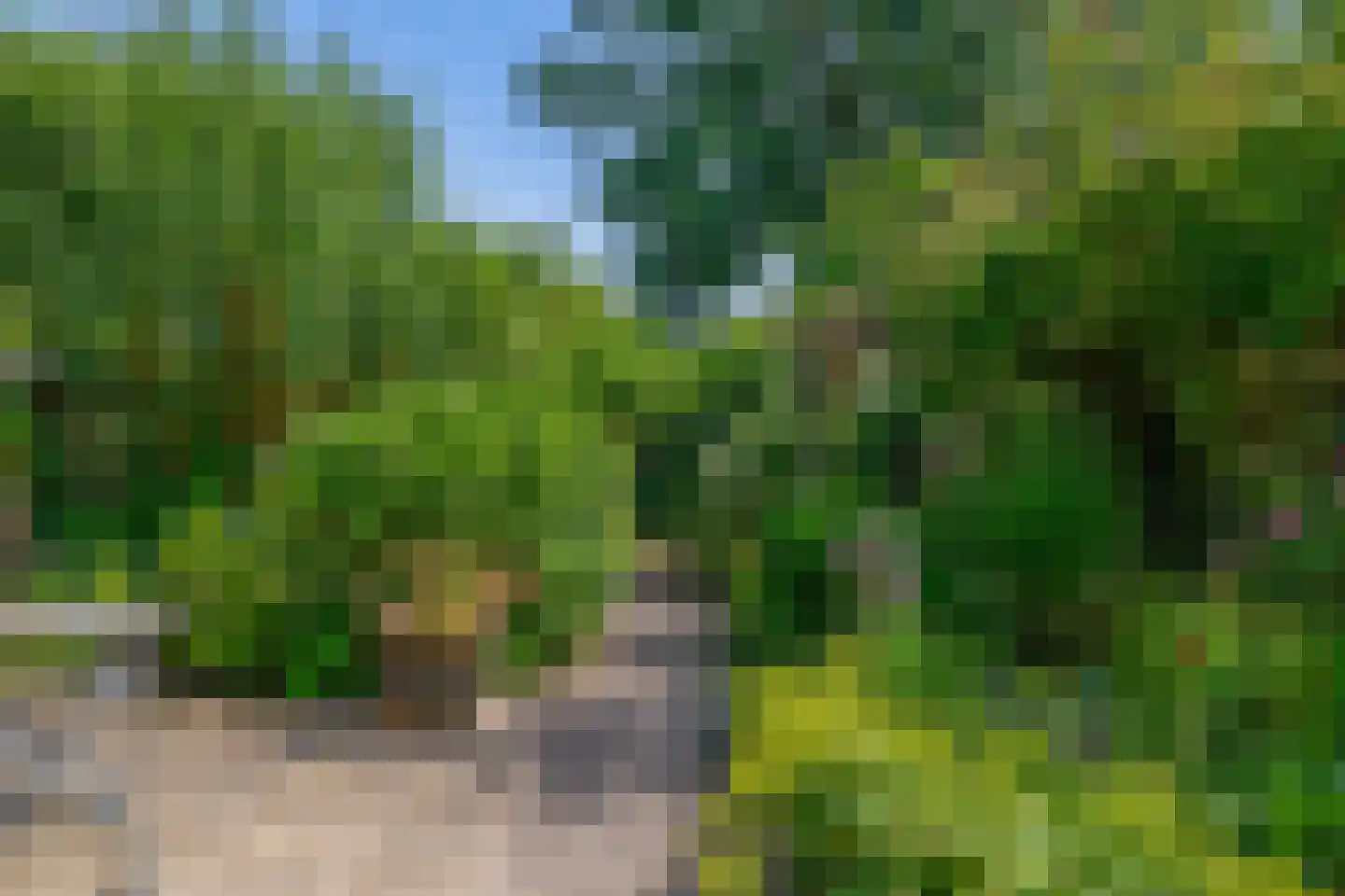 Paradijsselpark 203 Capelle aan den IJssel thumbnail 27