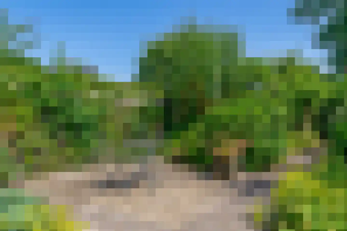 Paradijsselpark 203 Capelle aan den IJssel thumbnail 19