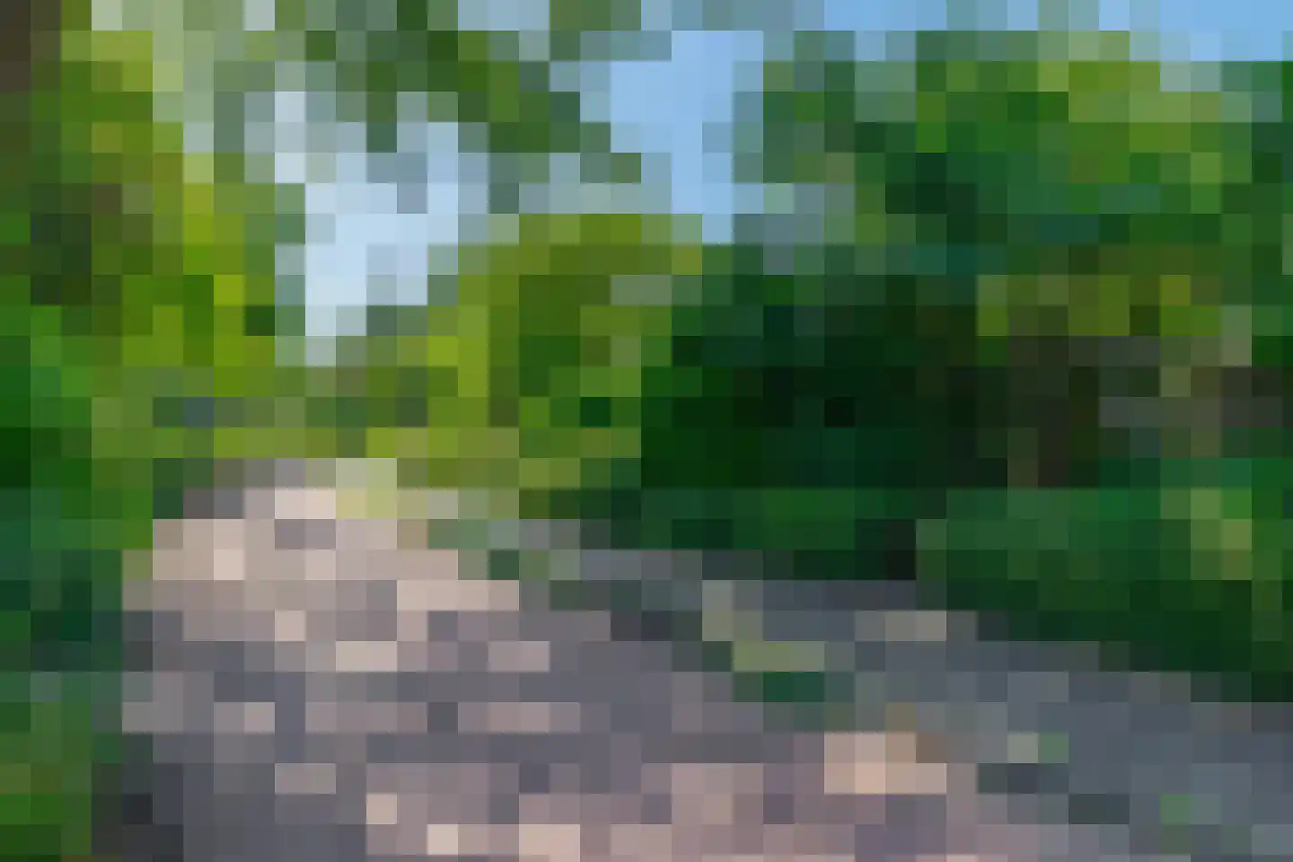 Paradijsselpark 203 Capelle aan den IJssel thumbnail 24