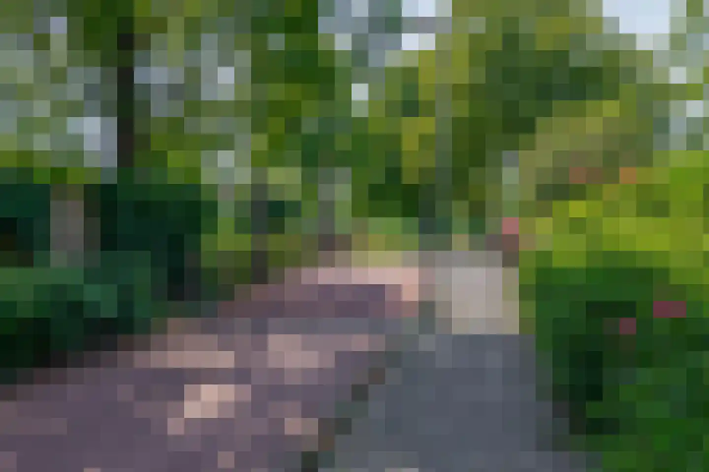 Paradijsselpark 203 Capelle aan den IJssel thumbnail 25