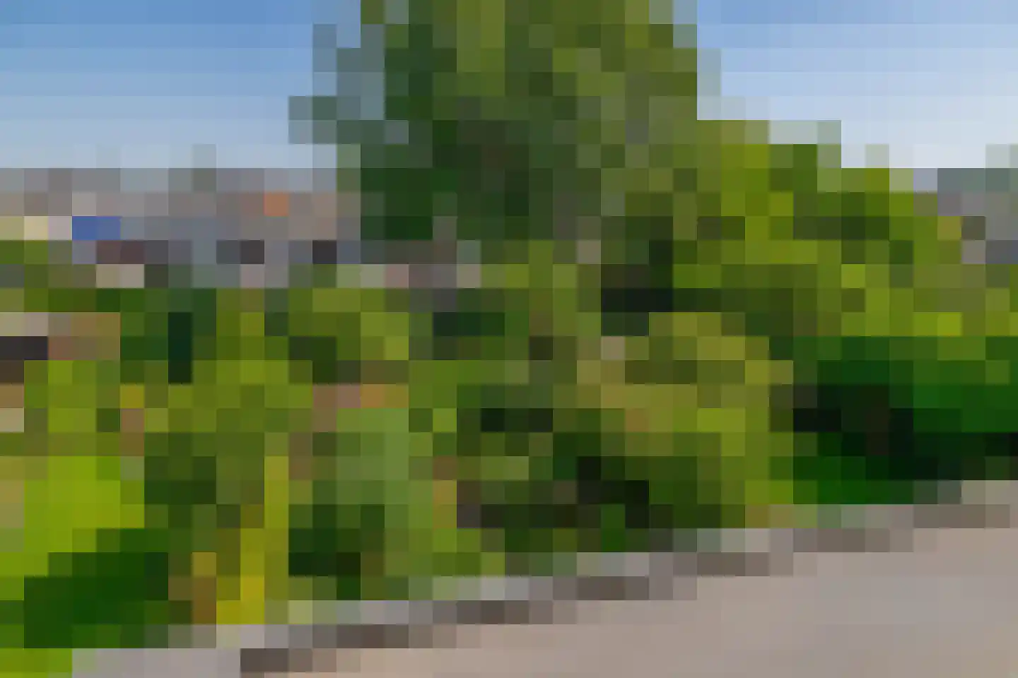 Paradijsselpark 203 Capelle aan den IJssel thumbnail 4