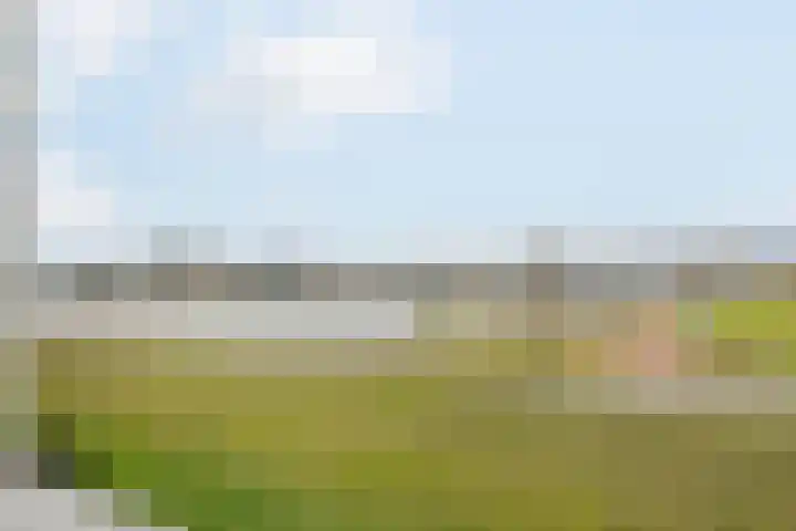 Paradijsselpark 40 Capelle aan den IJssel thumbnail 23