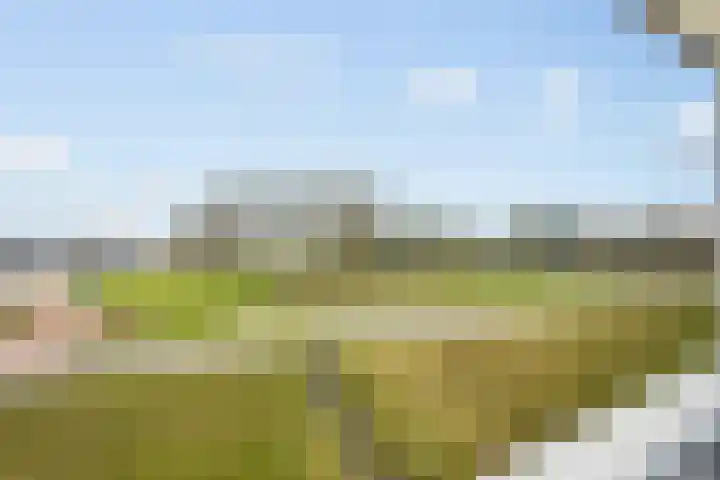 Paradijsselpark 40 Capelle aan den IJssel thumbnail 26
