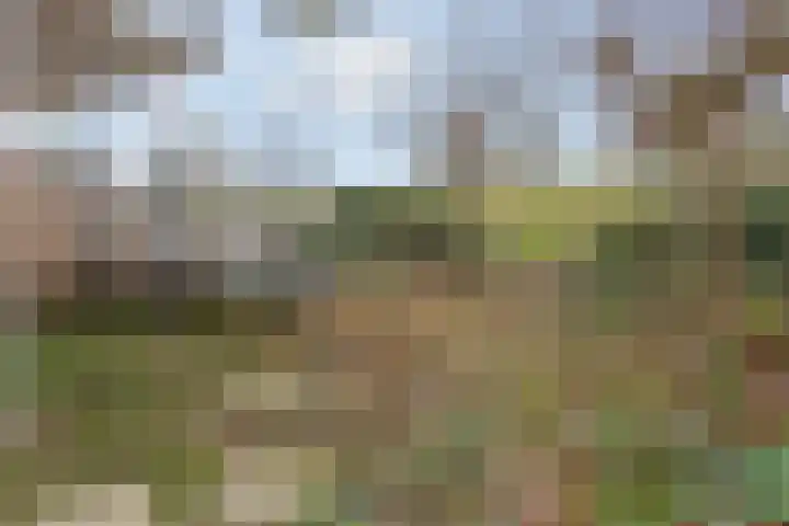 Paradijsselpark 40 Capelle aan den IJssel thumbnail 29