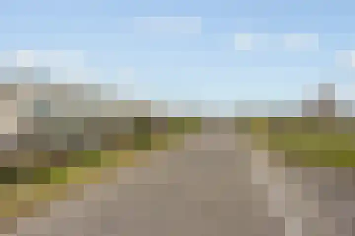 Paradijsselpark 40 Capelle aan den IJssel thumbnail 35