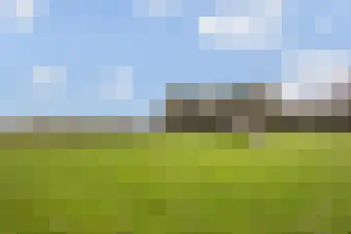 Paradijsselpark 40 Capelle aan den IJssel thumbnail 37