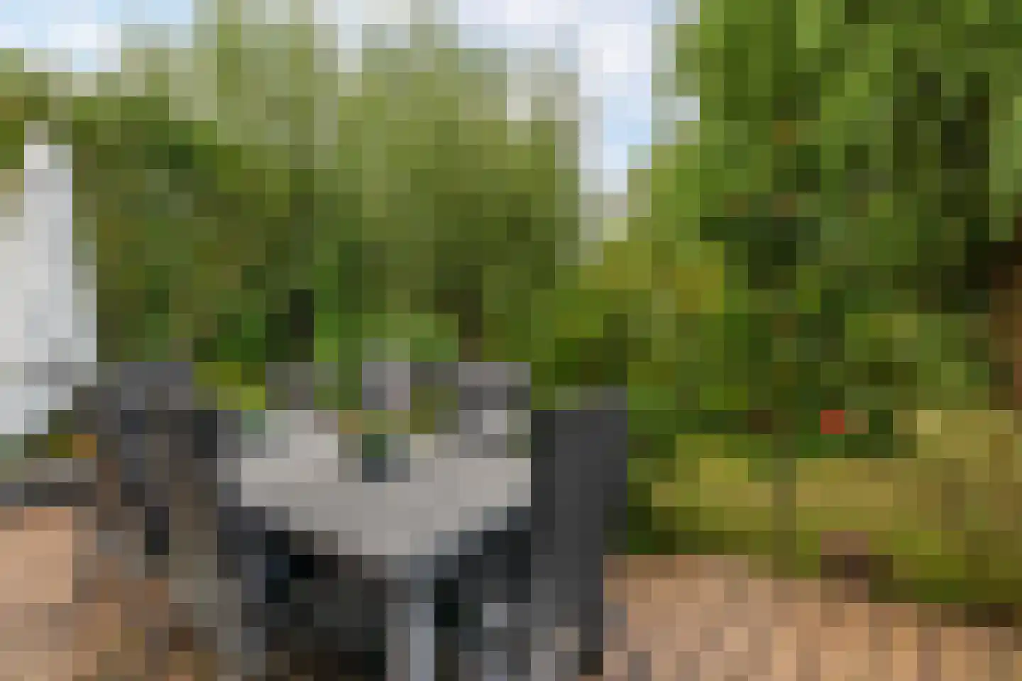 Paradijsselpark 65 Capelle aan den IJssel thumbnail 20