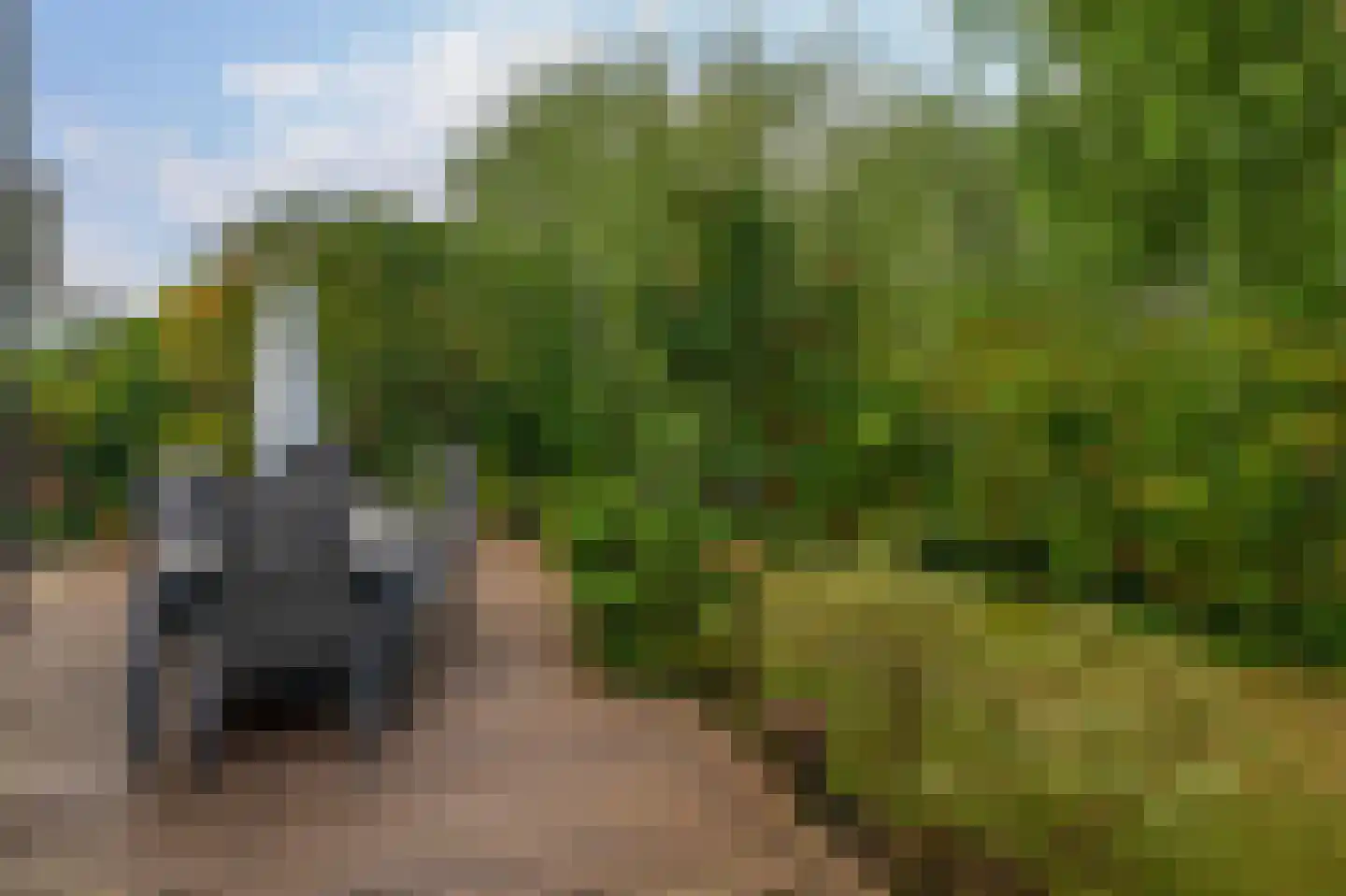 Paradijsselpark 65 Capelle aan den IJssel thumbnail 21