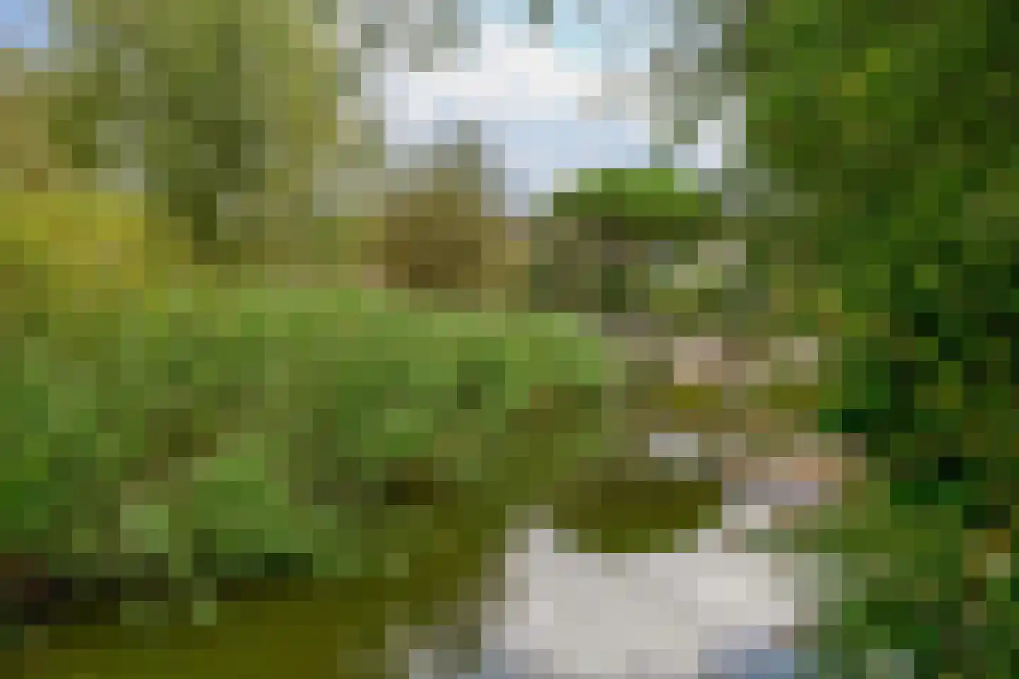 Paradijsselpark 65 Capelle aan den IJssel thumbnail 23